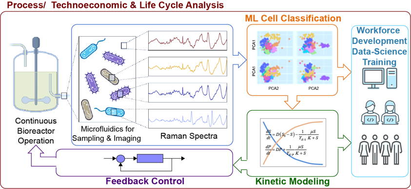 Modeling & Optimization of Bioprocesses